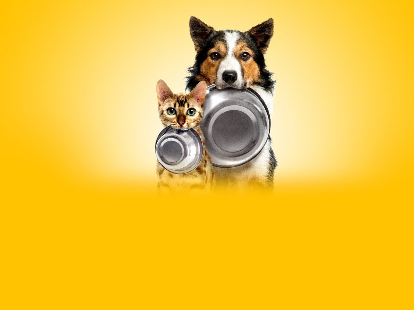 documentary pet fooled